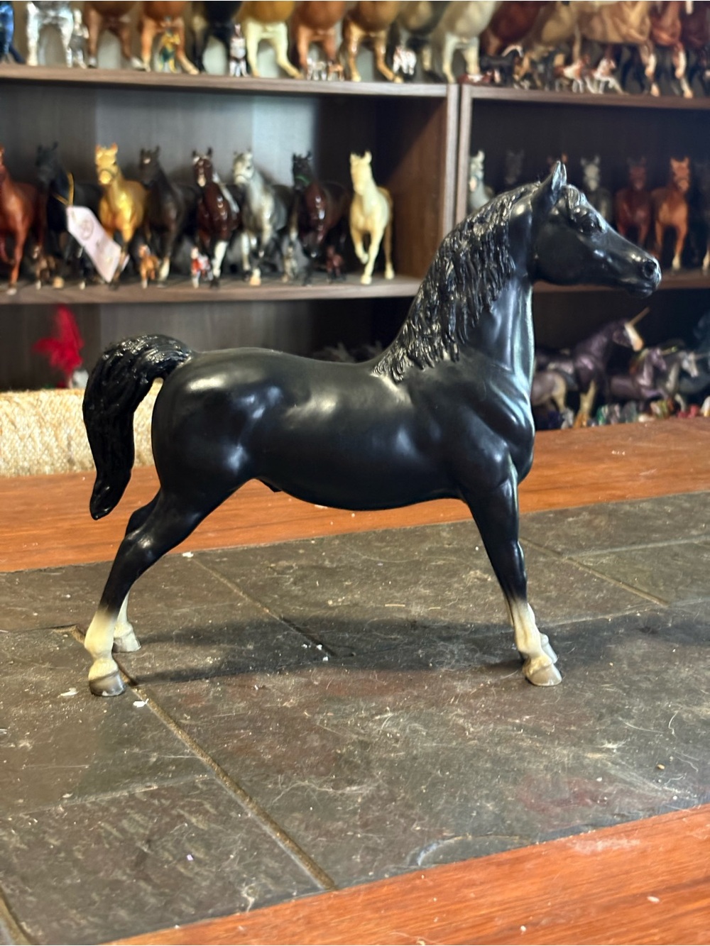 Breyer Black Morgan